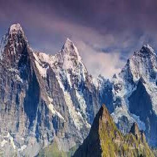  گل تو گلدونمی پرپرت کردم چرا از تو دستم افتادی زمین